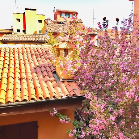 Falcone 22 Apartment *
